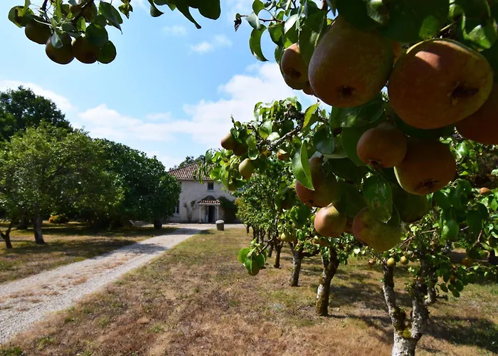 La Chênaie, Maison Ancienne Pour 13 Personnes- Clévacances 3 Clés Castella (Lot-et-Garonne)